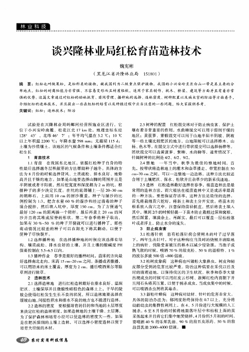 谈兴隆林业局红松育苗造林技术