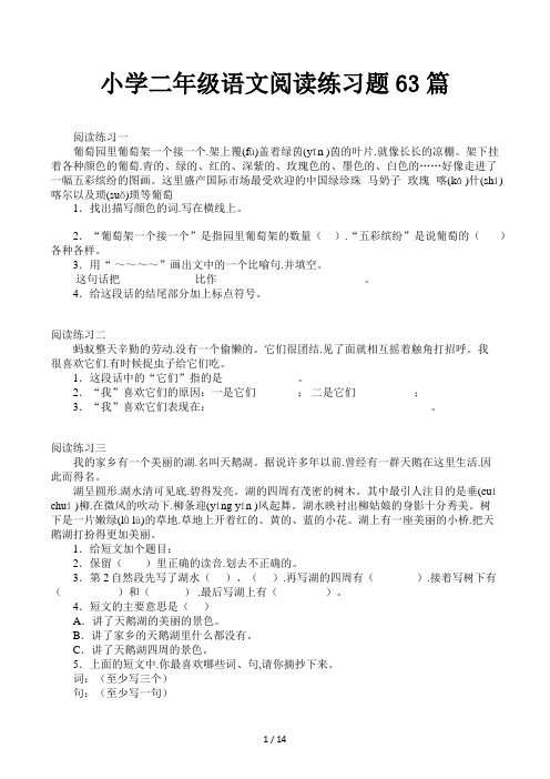 小学二年级语文阅读练习题63篇