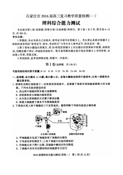 2016届石家庄市高三复习教学质量检测(一)理综试卷含答案