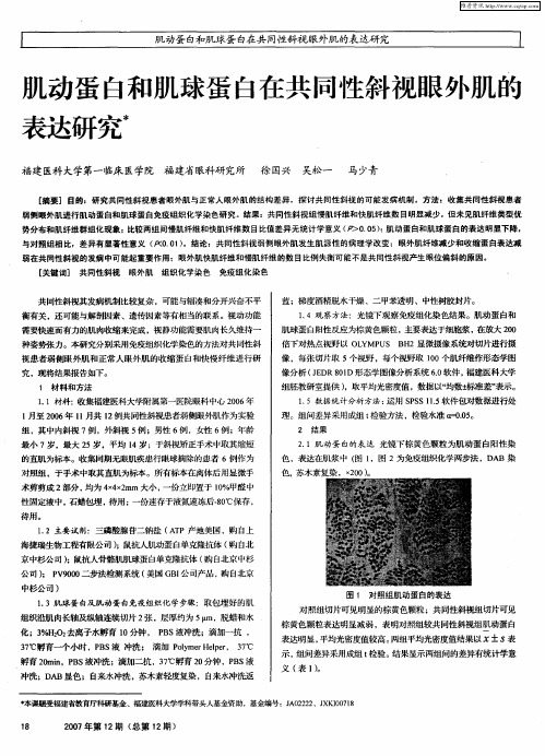 肌动蛋白和肌球蛋白在共同性斜视眼外肌的表达研究