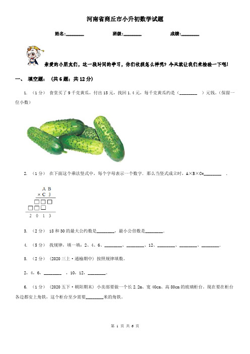 河南省商丘市小升初数学试题