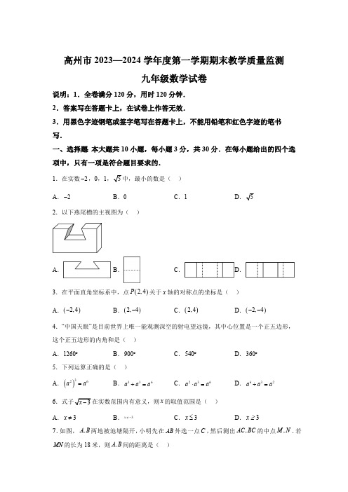 广东省茂名市高州市2023-2024学年九年级上学期期末数学试题(含解析)