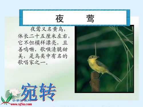 人教新课标四年级语文下册《夜莺的歌声》PPT课件