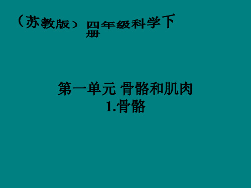 苏教版小学科学四年级下册《骨骼》PPT课件