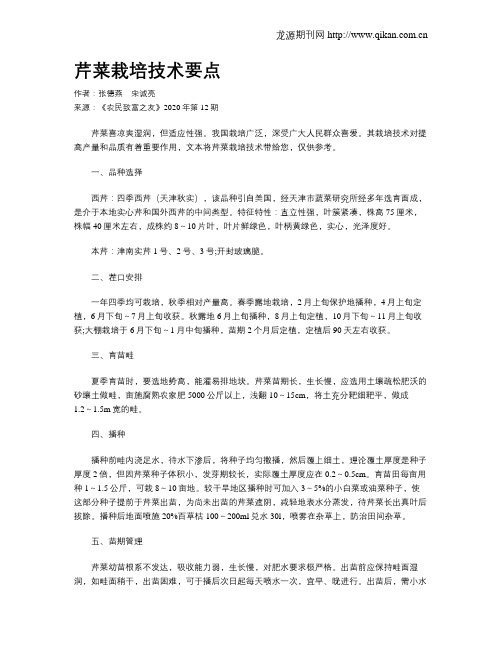 芹菜栽培技术要点