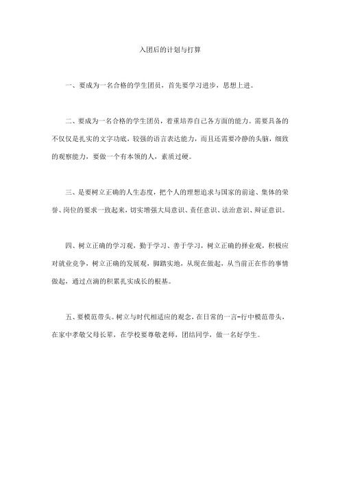 入团后的计划与打算