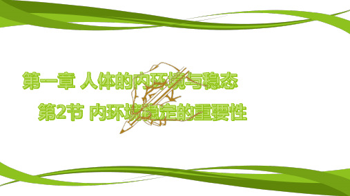 12内环境稳态的重要性课件-河南省原阳县第三高级中学人教版高中生物必修三(共34张PPT)