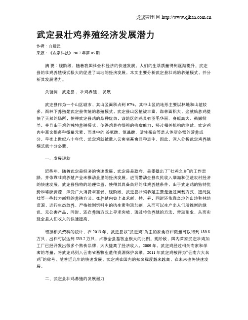 武定县壮鸡养殖经济发展潜力