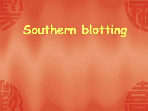 Southern blotting 杂交秘籍