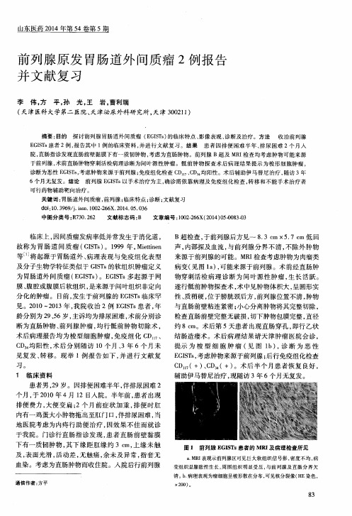 前列腺原发胃肠道外间质瘤2例报告并文献复习