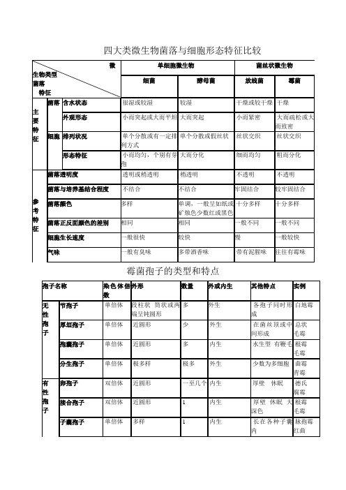 四大类微生物菌落与细胞形态特征比较