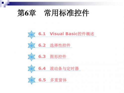 第6章  常用标准控件(选修)