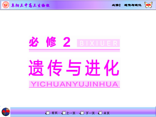 孟德尔的豌豆杂交实验(一)(一轮复习用)2015