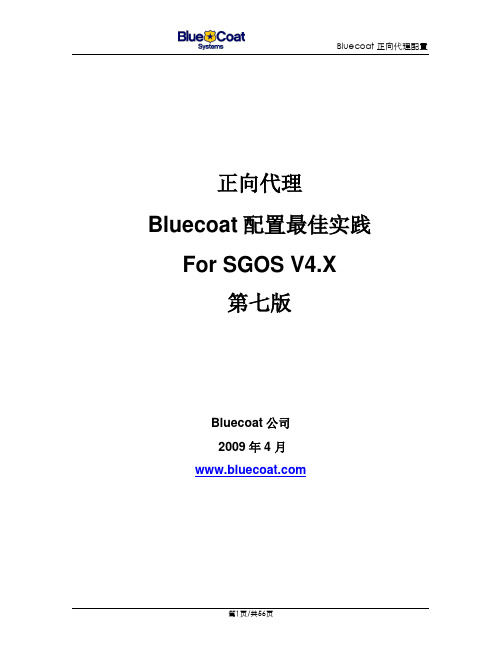 bluecoat 操作说明