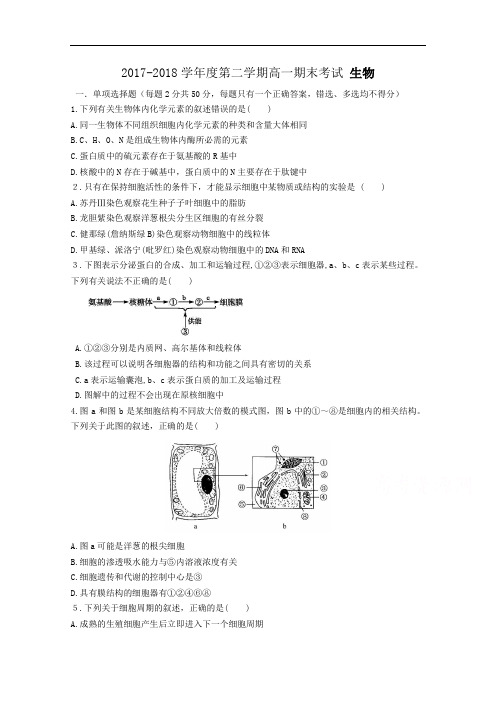 广东省汕头市金山中学2017-2018学年高一下学期期末考试生物试卷 Word版含答案