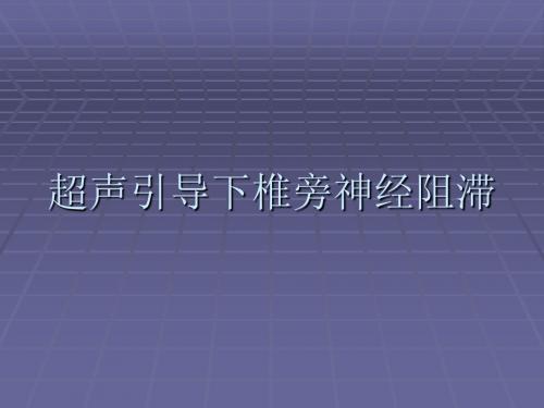 超声引导下椎旁神经阻滞腰丛阻滞PPT课件