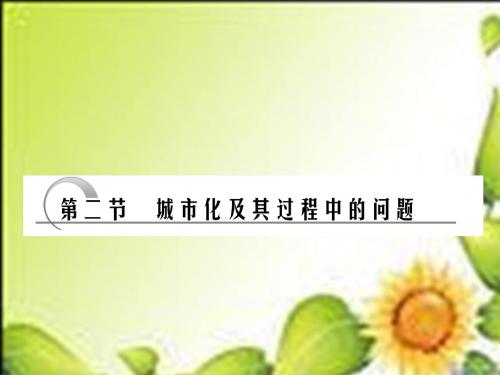 2011年高考地理一轮复习精品教学课件第二部分第六章第二节城市化及其过程中的问题(大纲版)