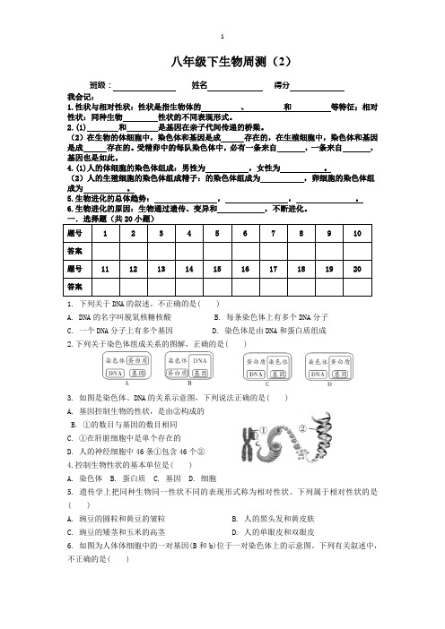 新人教版初中生物八年级下生物周测题2