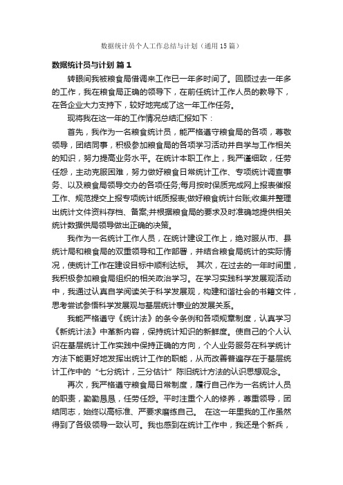 数据统计员个人工作总结与计划（通用15篇）