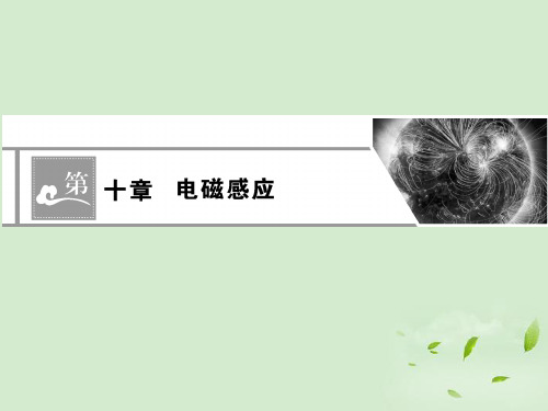 高考物理第一轮总复习 10 电磁感应课件