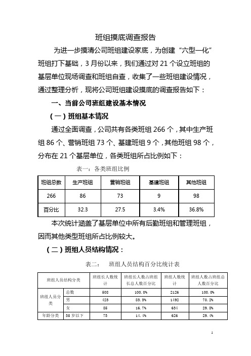 班组摸底调查报告