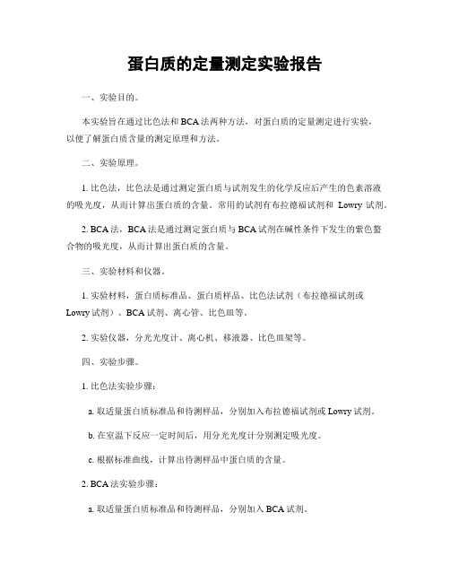 蛋白质的定量测定实验报告