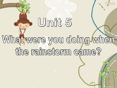 Unit5_What_were_you_doing_when_the_rainstorm_came__Section_B_