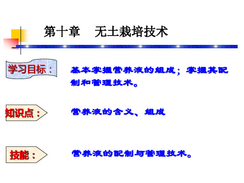 无土栽培技术ppt