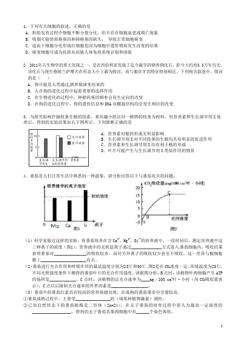 湖南省新田县第一中学高三生物保温卷(5)