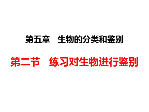 第二节练习对生物进行鉴别课件2021--2022学年冀少版七年级上册生物