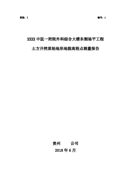 XX医院综合大楼东侧场平工程土方开挖原始地形地貌高程点测量报告(专业完整格式模板)