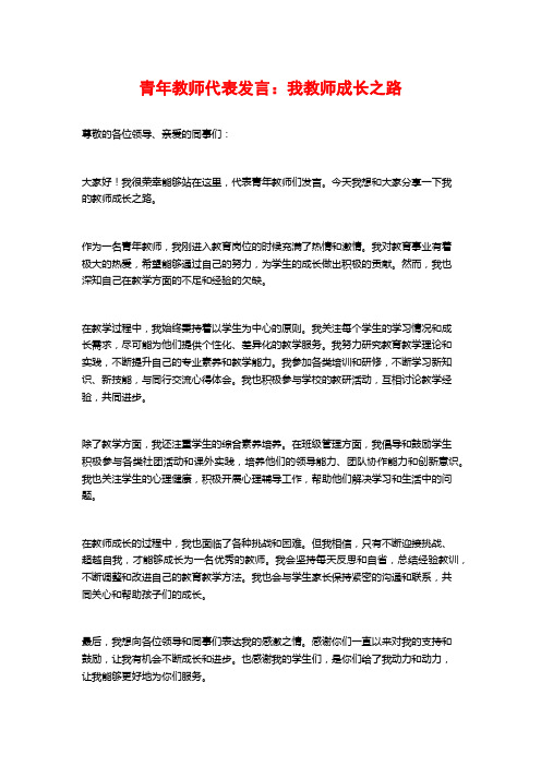 青年教师代表发言：我教师成长之路