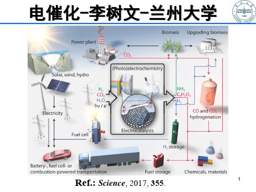 电催化析氢-氮还原