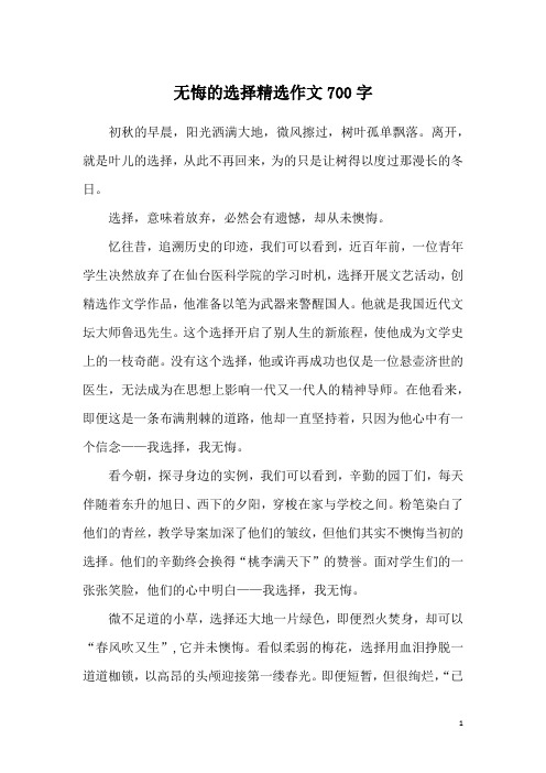 无悔的选择精选作文700字