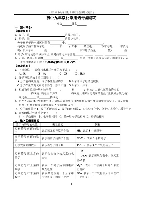 (新)初中九年级化学用语专题训练试题汇总