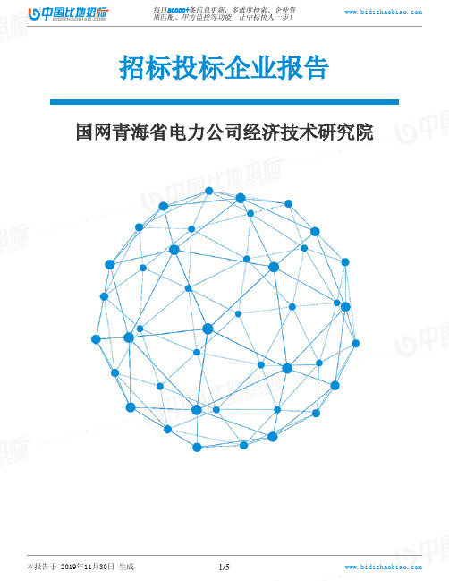 国网青海省电力公司经济技术研究院-招投标数据分析报告