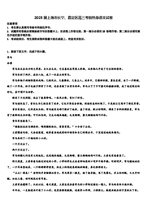 2025届上海市长宁、嘉定区高三考前热身语文试卷含解析