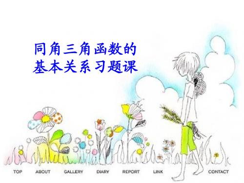 同角三角函数的基本关系习题课