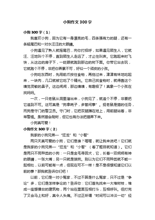 小狗作文300字