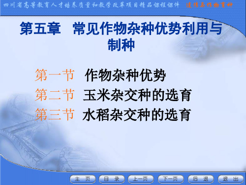 常见作物杂种优势利用与制种课件