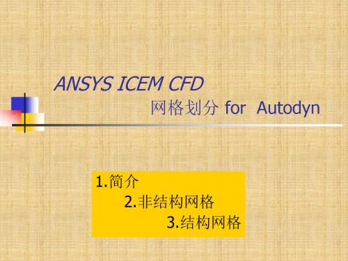 ICEM网格拓扑划分精编版