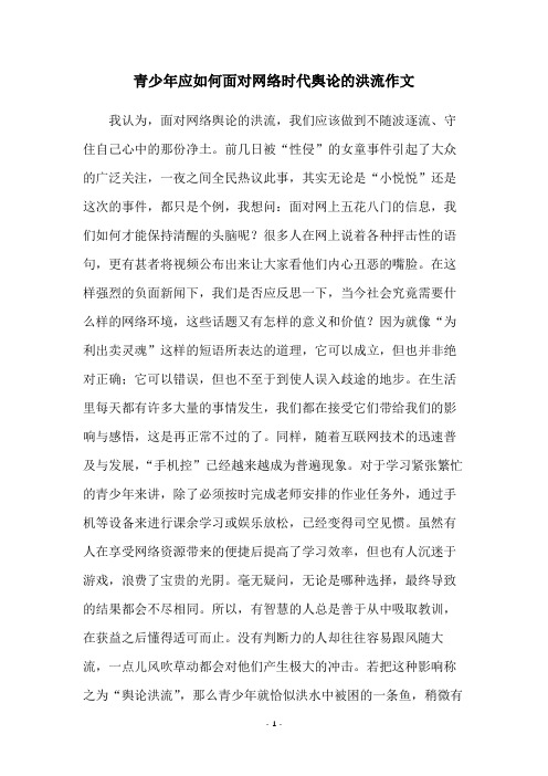 青少年应如何面对网络时代舆论的洪流作文