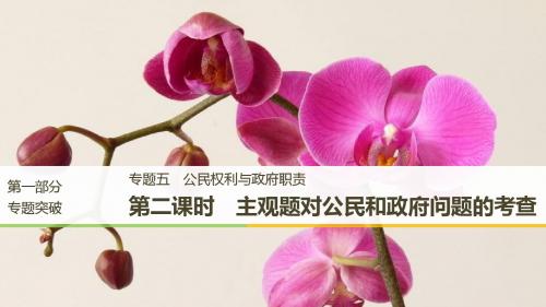 2019高考政治新增分二轮通用课件：专题五公民权利与政府职责二课时