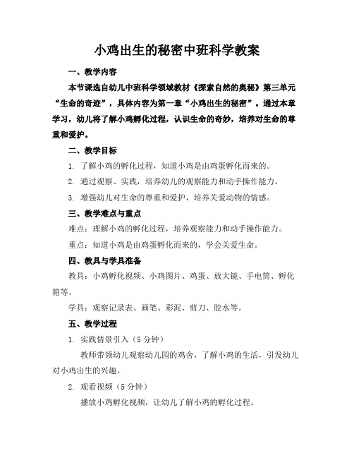 小鸡出生的秘密中班科学教案