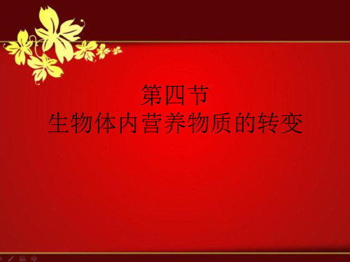 课件：生物体中各种营养物质的转化