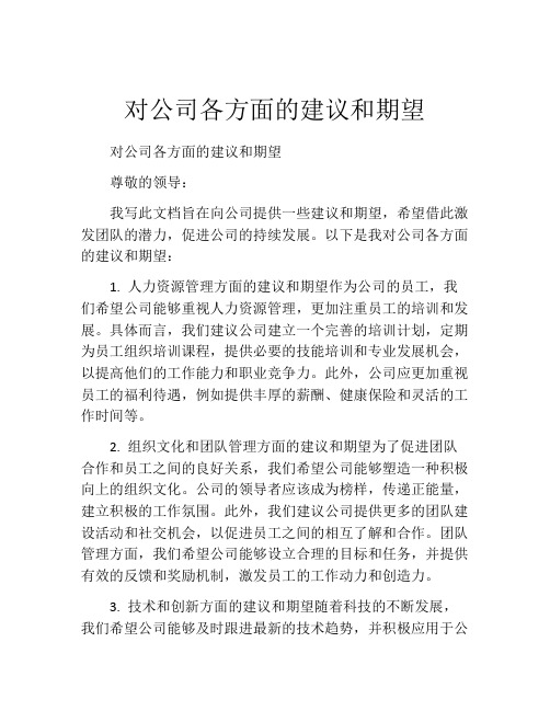 对公司各方面的建议和期望