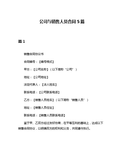 公司与销售人员合同5篇