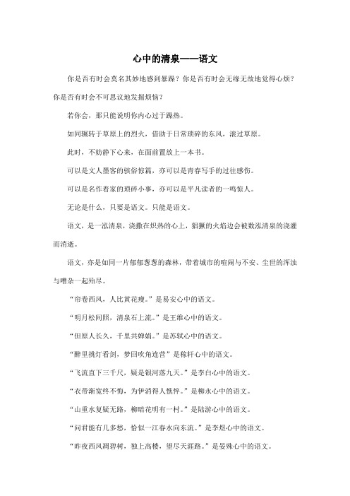 心中的清泉——语文_初中初三作文700字