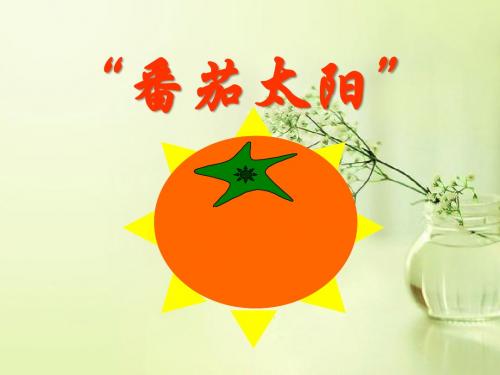 《番茄太阳》 精品课件3(共28张)