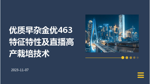 优质早杂金优463特征特性及直播高产栽培技术